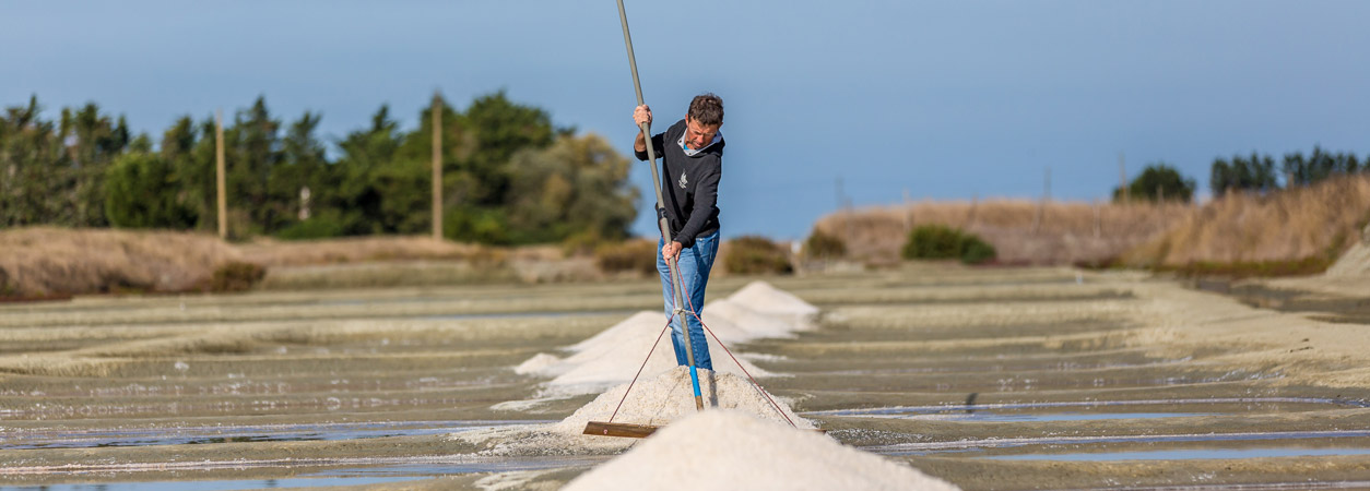 marais des salants