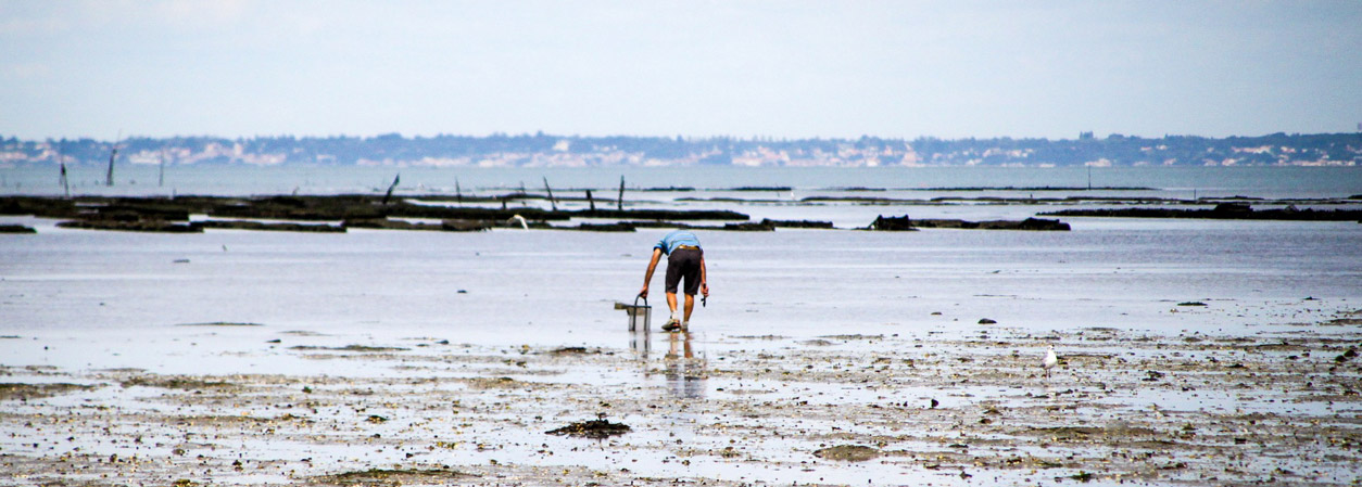 pêche noirmoutier