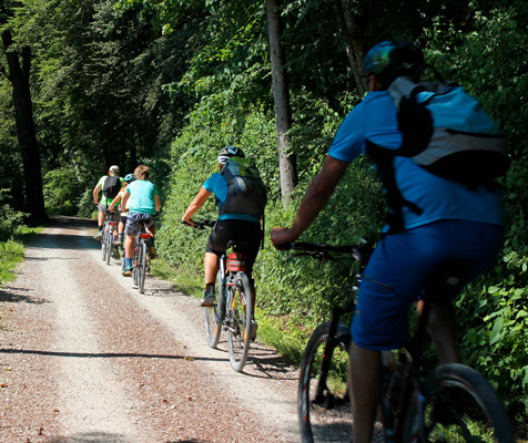 velo promenade