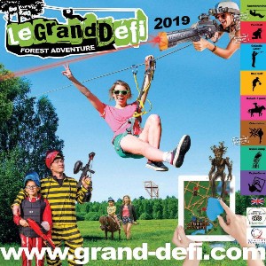 partenaire grand défi