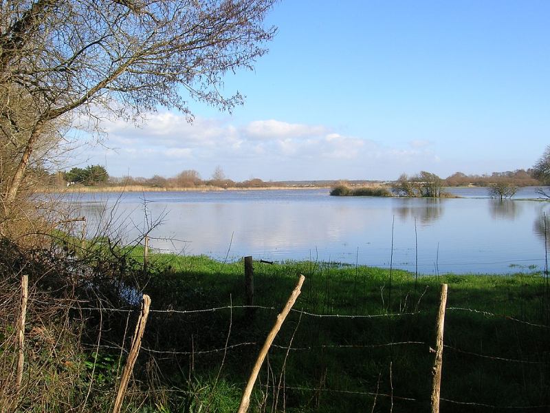 lac de jaunay