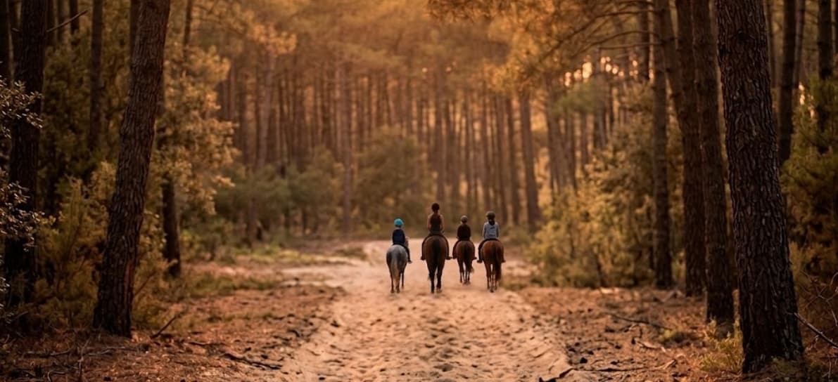Balade à cheval dans la foret
